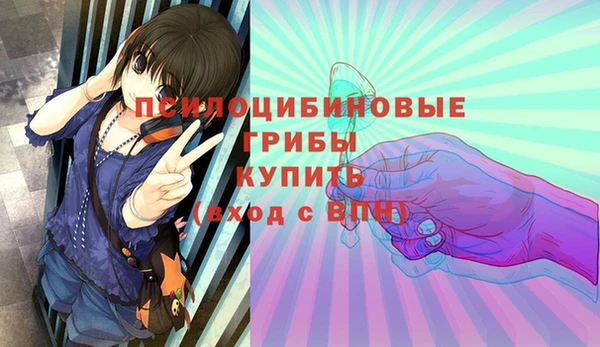 гидропоника Богородск