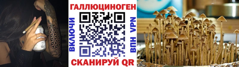 Псилоцибиновые грибы ЛСД  Ясногорск 
